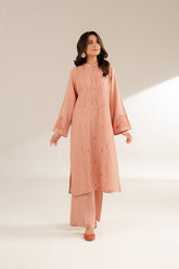 2 Piece Cotton Karandi Embroidered Suit (CS0298)